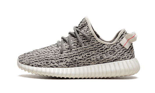 Yeezy Boost 350 "Turtle Dove" AQ4832