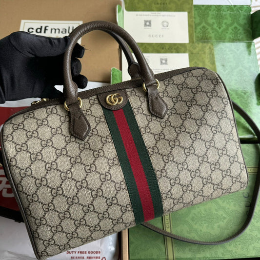Gucci Ophidia Bag Beige mix Brown Canvas 240085